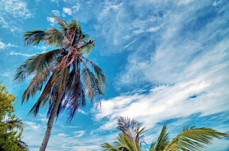 Selingan - Turtle Island in the Sulu Sea, Near Borneo Island Stock ...