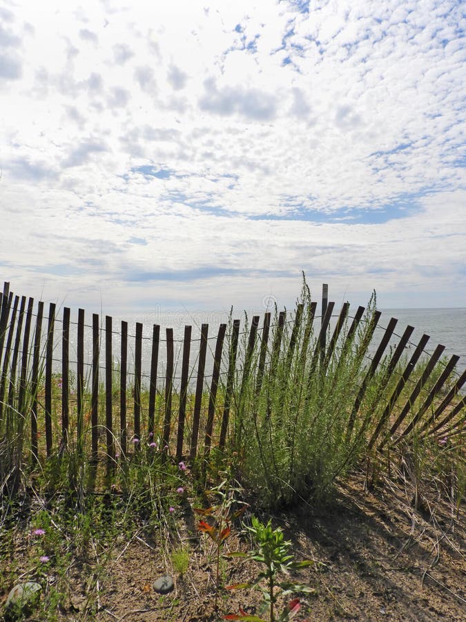 Sandy Island sand dune fence shadows