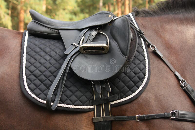 8 997 Selle Noire Sur Le Cheval Noir Photos Libres De Droits Et Gratuites De Dreamstime