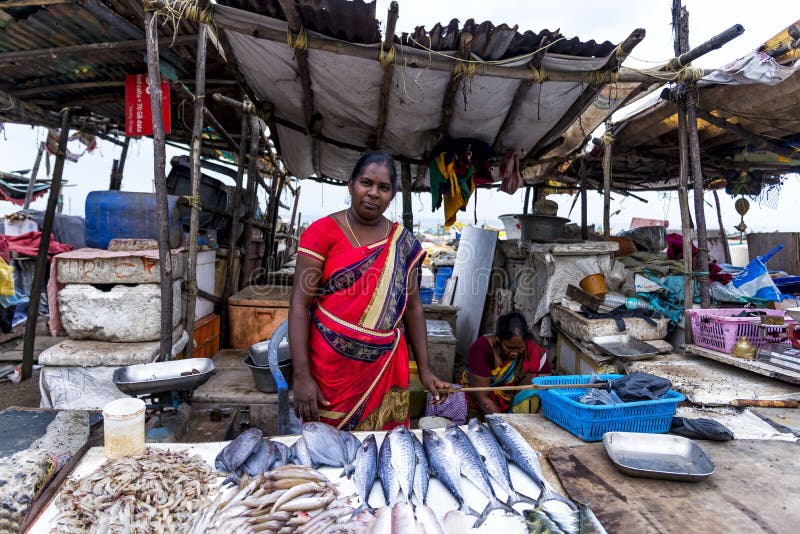 Seller at the Chennai Street Fish Market, India Editorial