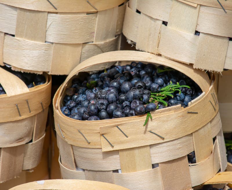 Selling Blueberries at the Market Stock Image Image of fresh, selling