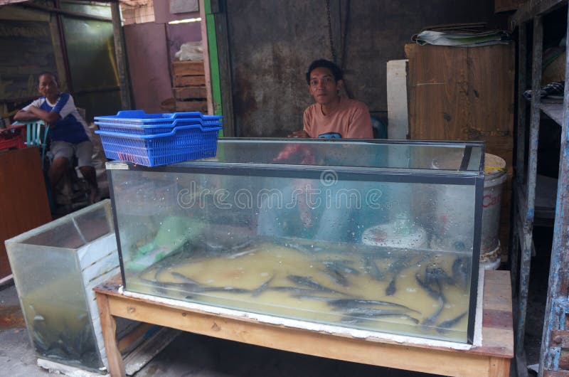 Selling catfish editorial stock image. Image of recreation 46429904