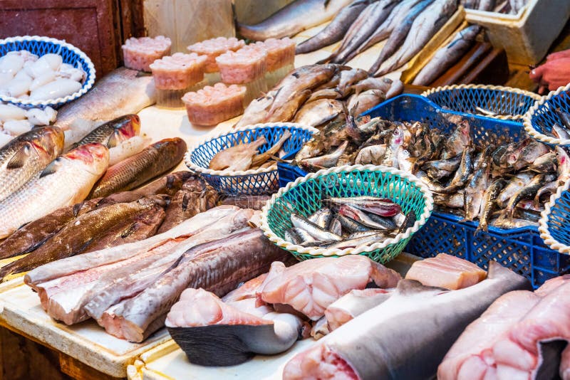 Selling Fish in the Market, Fez, Morocco Stock Image Image of shark