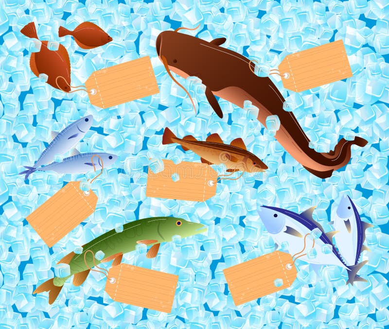 Selling Fish in Market, Fresh Food on Ice, Healthy Meal, Healthy Nutrition, Cold Seafood, Cartoon Style, Vector Stock Vector - Illustration of selling, store: 215854081 Selling Fish in Market, Fresh Food on Ice, Healthy Meal, Healthy Nutrition, Cold Seafood, Cartoon Style, Vector Stock Vector - Illustration of selling, store: 215854081