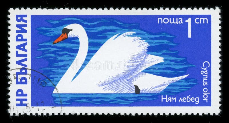 Sello de la serie del ` de las aves acuáticas del ` de Bulgaria, 1976 foto de archivo libre de regalías Sello de la serie del ` de las aves acuáticas del ` de Bulgaria, 1976 foto de archivo libre de regalías
