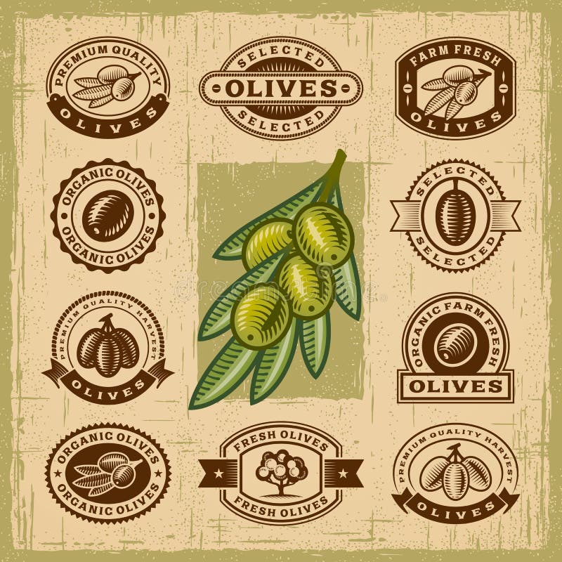 Sellos de la aceituna del vintage fijados ilustración del vector Sellos de la aceituna del vintage fijados ilustración del vector