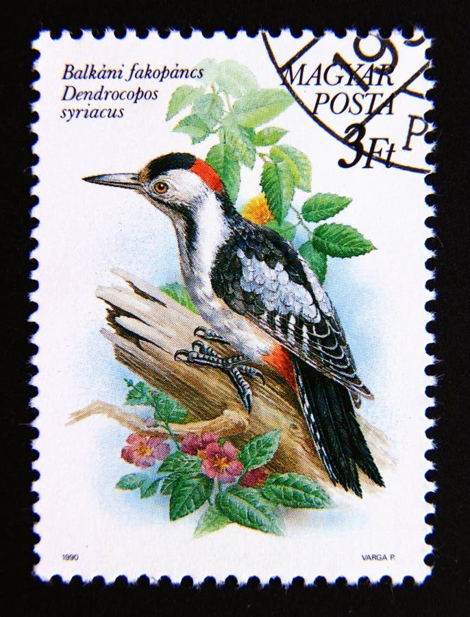 Selo postal hungria magyar 1990. pica-pau-pau-pau-pau-pau