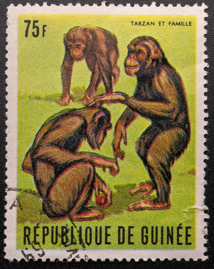 Selo postal 1969 Republic of Guinea Chimpanz? Tarzan imagem de stock royalty free Selo postal 1969 Republic of Guinea Chimpanz? Tarzan imagem de stock royalty free