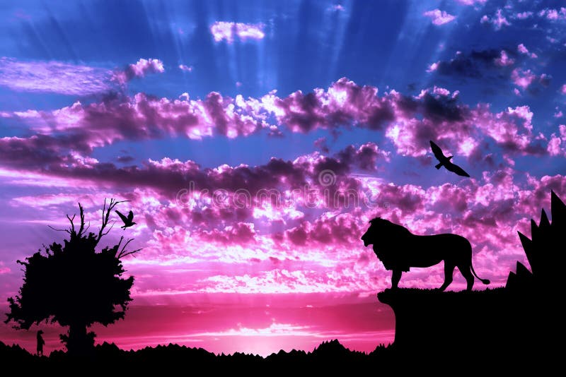 Selva com montanhas, a árvore velha, o leão dos pássaros e o meerkat no por do sol nebuloso roxo
