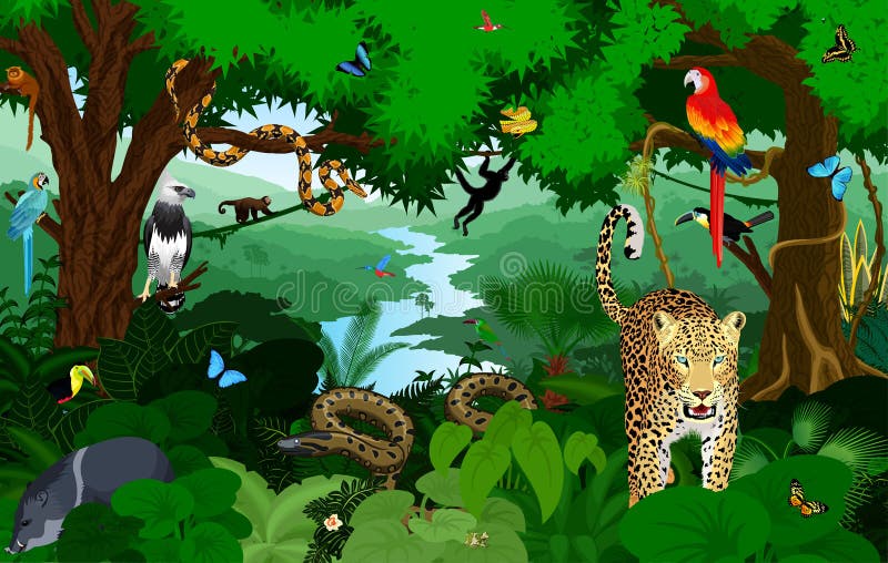 Selva tropical con el ejemplo del vector de los animales Vector la selva tropical verde con los loros, jaguar, boa, arpía, mono d