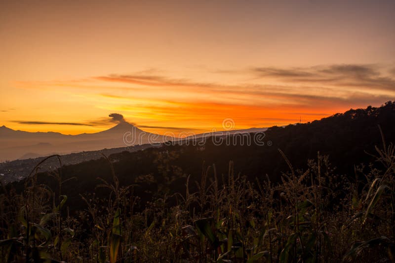 Volcano in the background with a cornfield