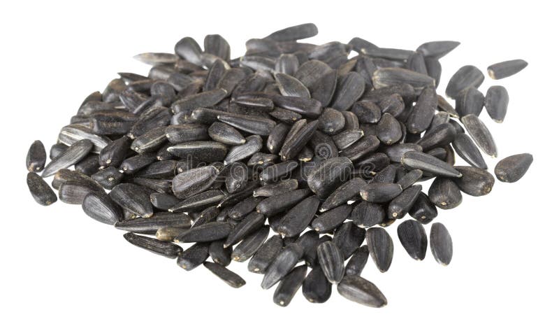 Sementes de girassol pretas fotos de stock royalty free