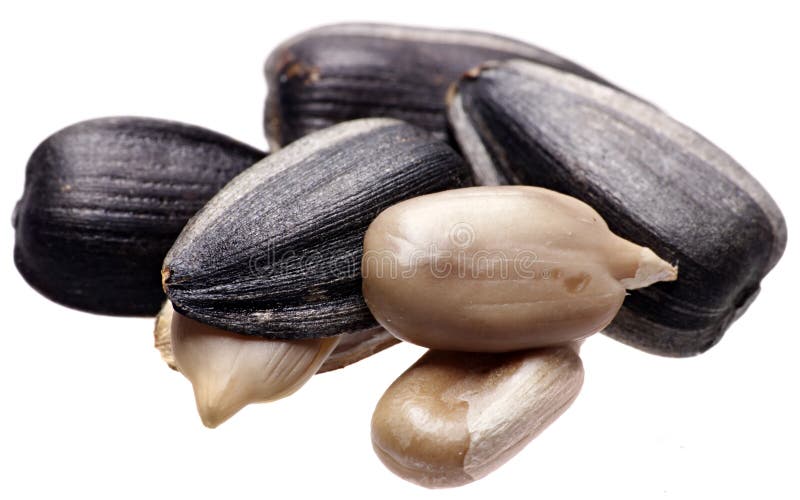 Roasted Sunflower Seeds, trimmed and not trimmed, isolated on white background. Macro. Roasted Sunflower Seeds, trimmed and not trimmed, isolated on white background. Macro