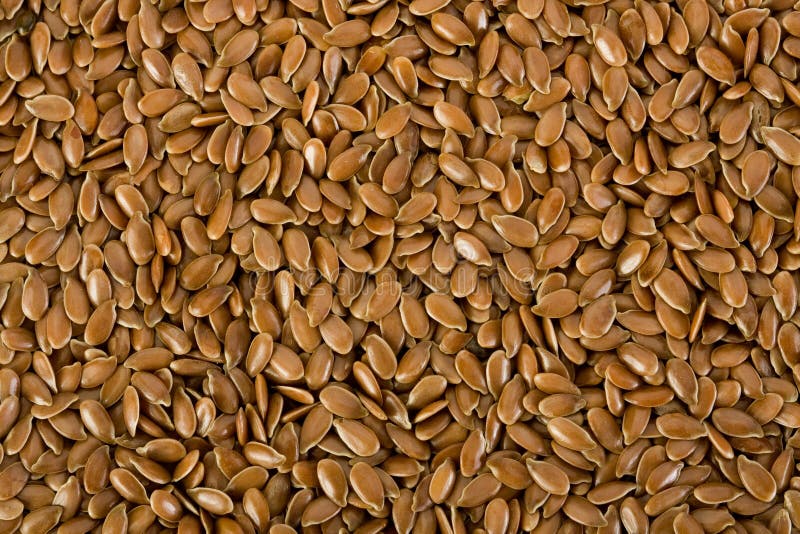 Sementes de linhaça imagens de stock royalty free