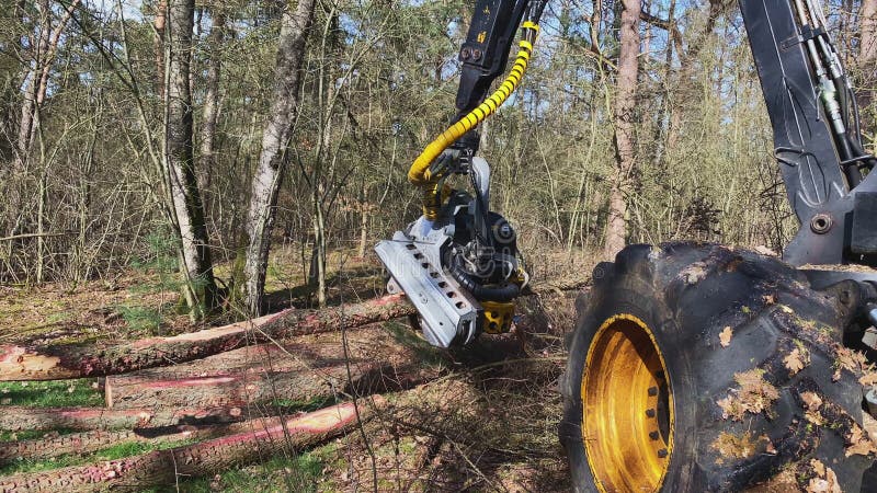 Automatic tree cutting machine discount