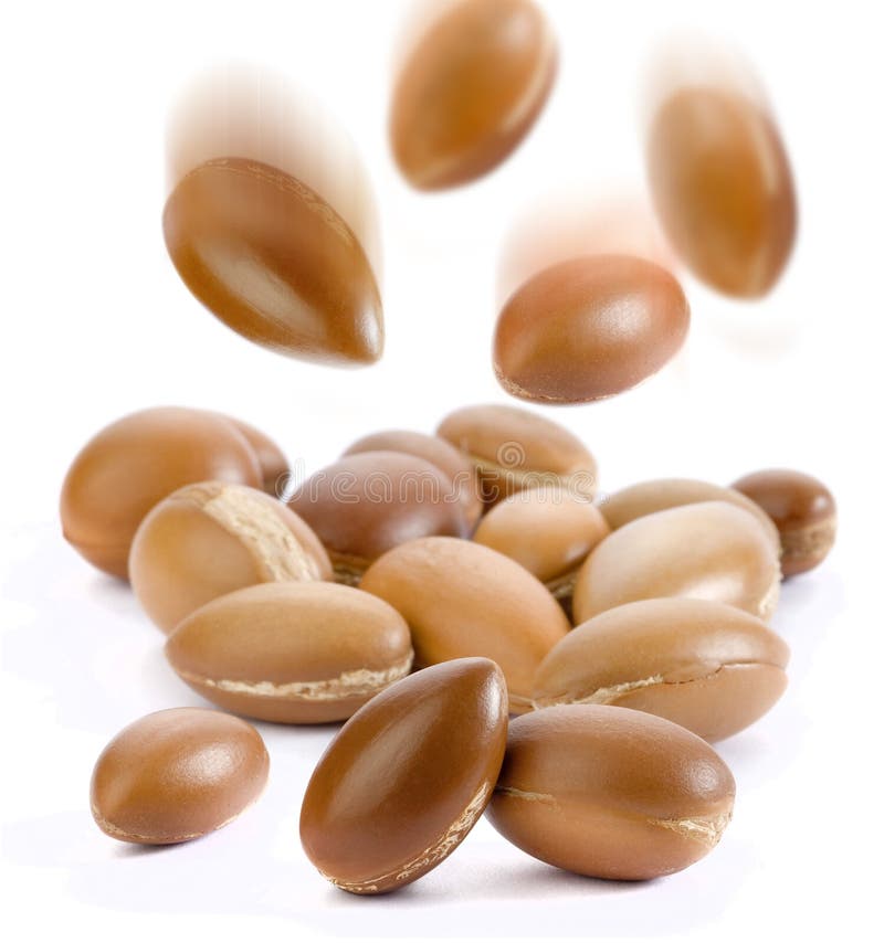 Semi del argan immagini stock Semi del argan immagini stock