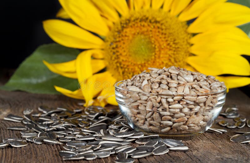 Roasted and salted shelled sunflower seeds in glass bowl surrounded by unshelled black and white seeds with sunflower blurred in background. Roasted and salted shelled sunflower seeds in glass bowl surrounded by unshelled black and white seeds with sunflower blurred in background