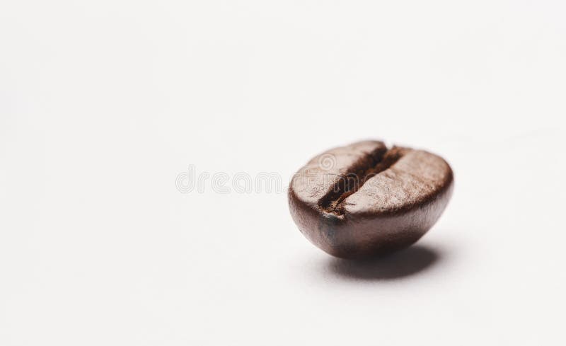 Semi e fagioli isolati da caffè in studio per cafe bistro e ingredienti per bevande calde. robusta spaziale fotografia stock libera da diritti