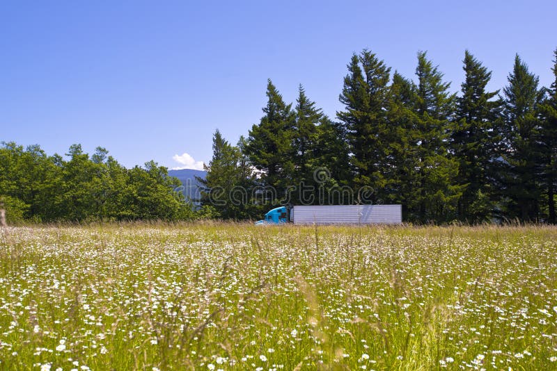 Semi truck between floral meadow and evergreen firs