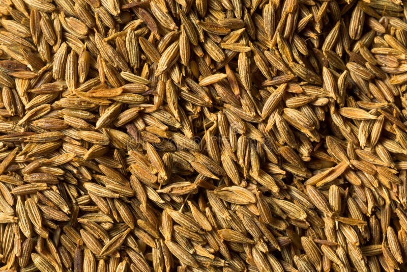 Semilla de comino orgánico de color marrón bruto. Semilla de comino orgánico pardo en un bol