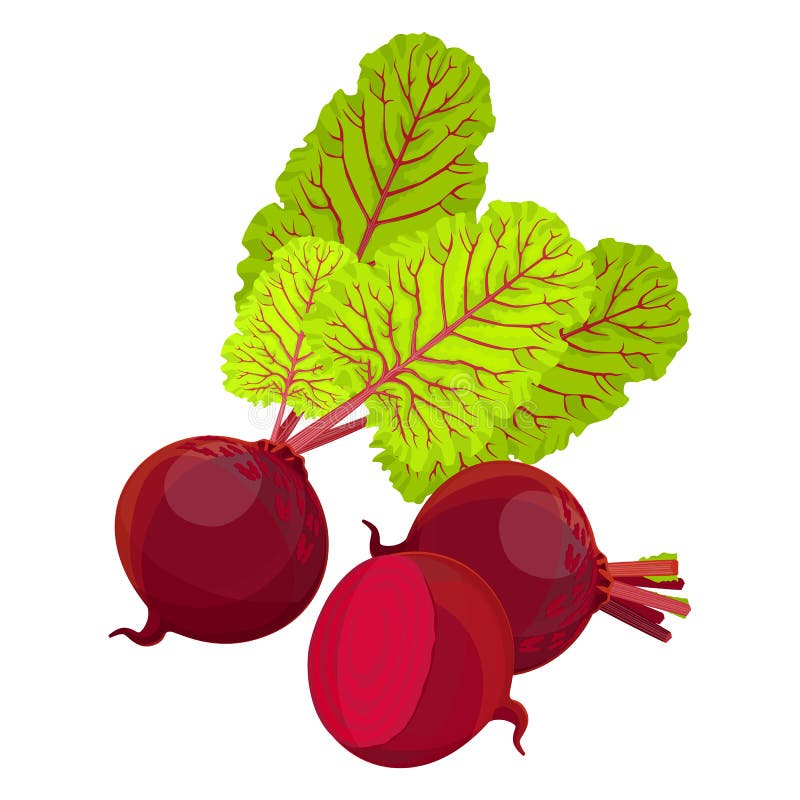 Semiună de sfeclă roșie și felii izolate pe fond alb. royalty free illustration