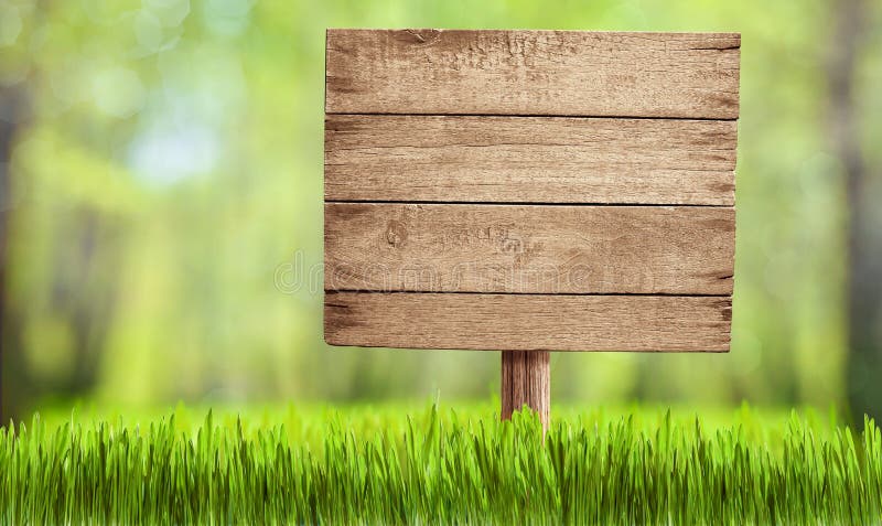 Semnul de lemn din parcul forestier de vară sau din grădină stock photo