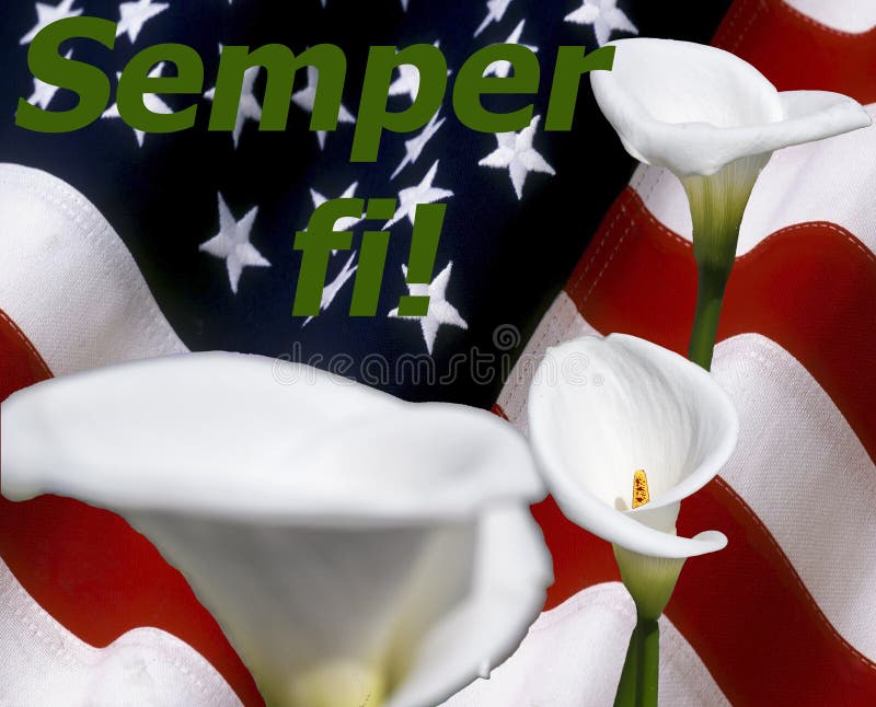 Semper fi! with calla lily and stars and stripes flag