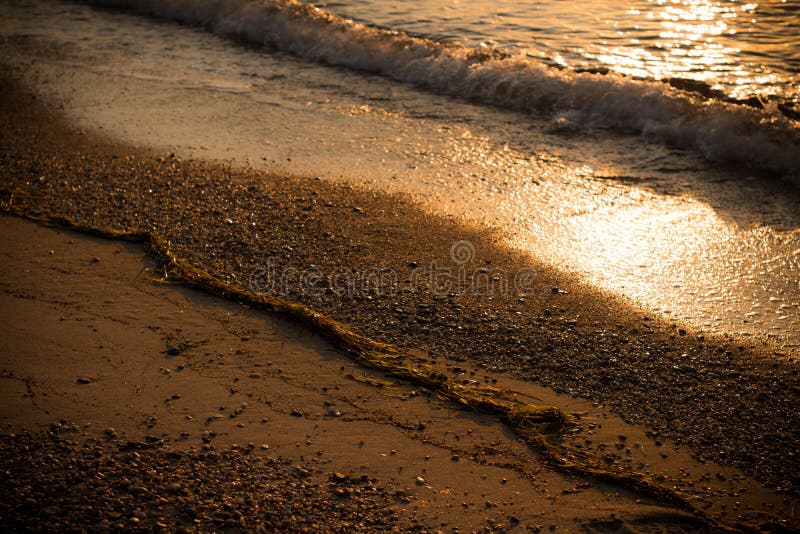 Sempre sonhando do verão imagens de stock royalty free Sempre sonhando do verão imagens de stock royalty free