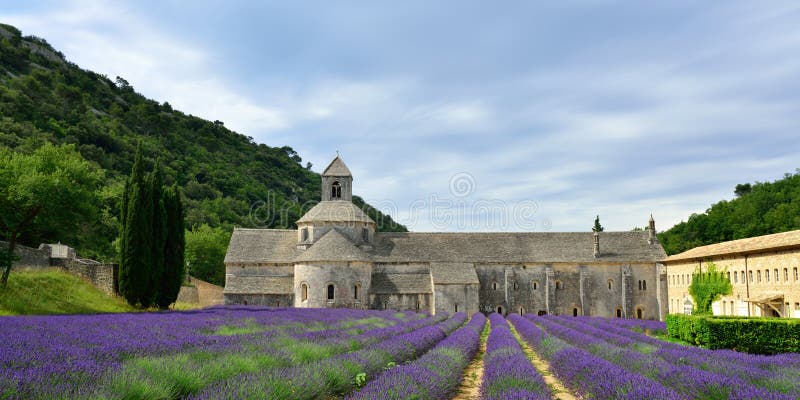 一个古老修道院abbaye Notre Dame De Senanque 库存照片 图片包括有腹部 普罗旺斯