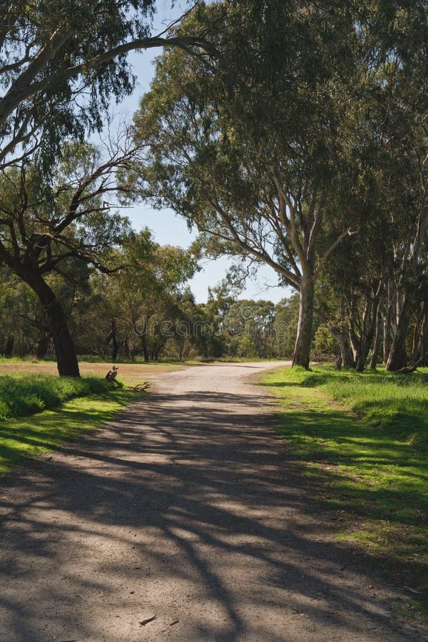 Footpath in Breaside Park with shadows crossing the way with blue sky curved space in Victoria, Australia. Footpath in Breaside Park with shadows crossing the way with blue sky curved space in Victoria, Australia