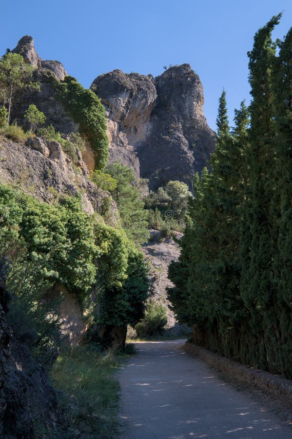 Sendero sereno rodeado de vegetación exuberante y acantilados rocosos. foto de archivo libre de regalías