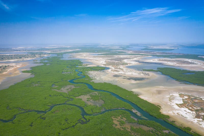 Senegal Mangroves. Aerial view of mangrove forest in the  Saloum Delta National Park, Joal Fadiout, Senegal. Photo made by drone