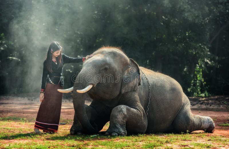 Senhora elegante tradicional tailandesa com elefante fotografia de stock Senhora elegante tradicional tailandesa com elefante fotografia de stock
