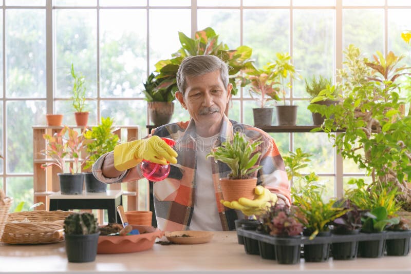 Senior asian retirement old man doing a hobby relax in gardening and water spraying tree plant in garden farm