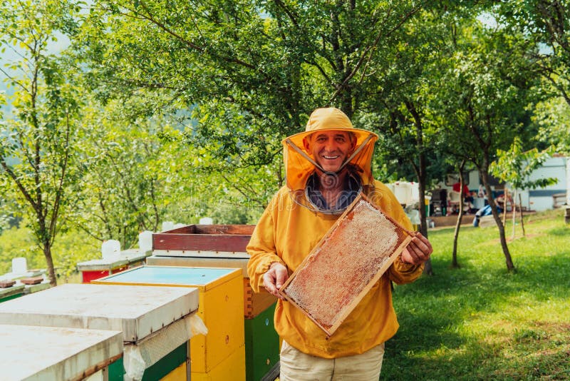 Senior Beekeeper Checking How the Honey Production is Progressing. Photo of a Beekeeper with a