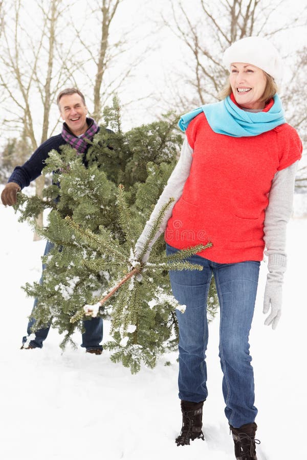 Senior Couple Carrying Christmas Tree in Snow Stock Photo - Image of ...