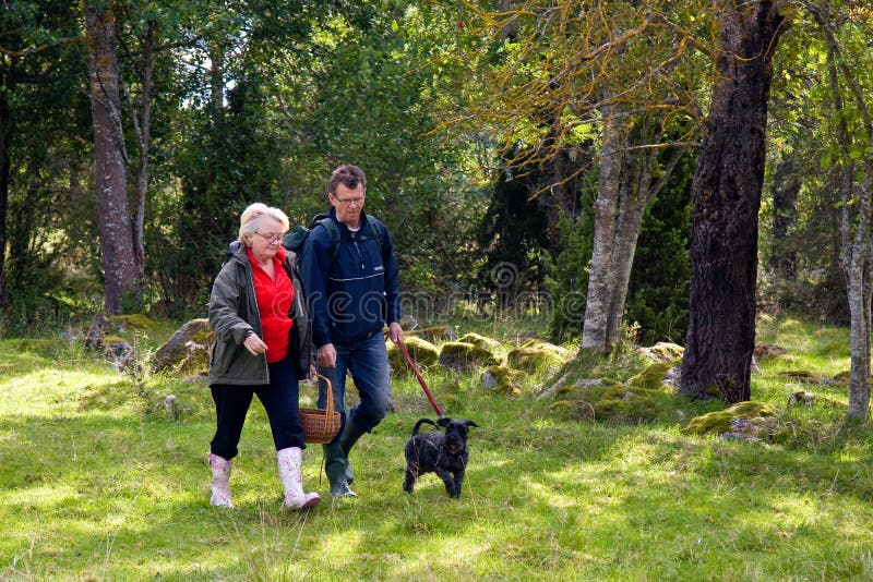 Coppia Senior di andare a raccogliere dei funghi con il loro cane.