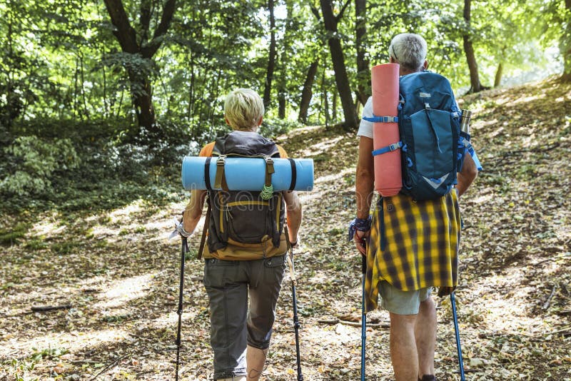 Mature Couple Hiking In Forest Wearing Backpacks And Hiking Poles Nordic Walking Trekking