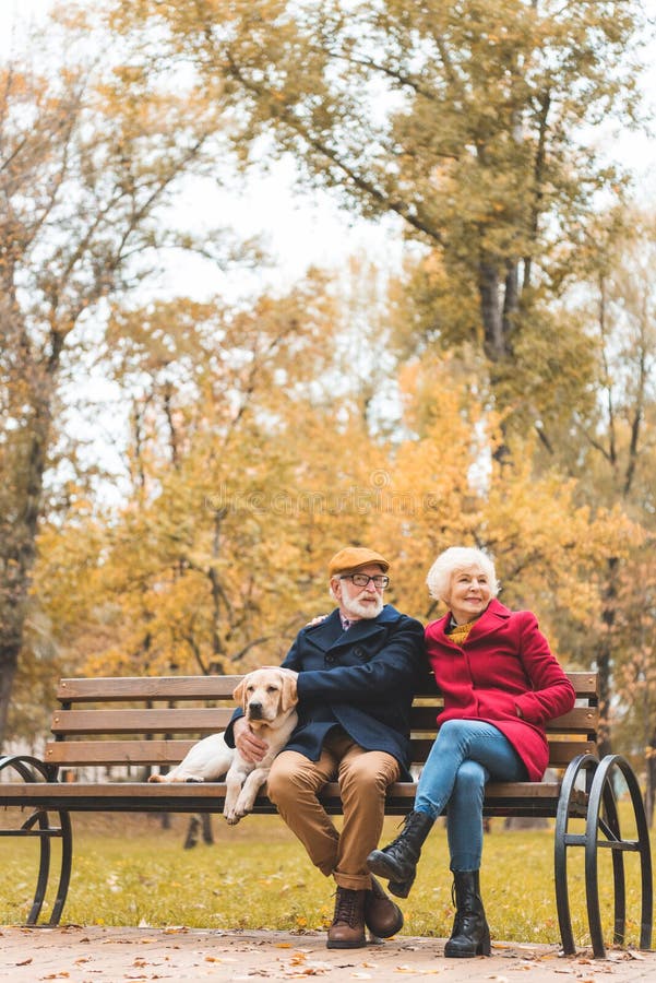 senior couple with labrador retriever dog sitting on bench in autumn