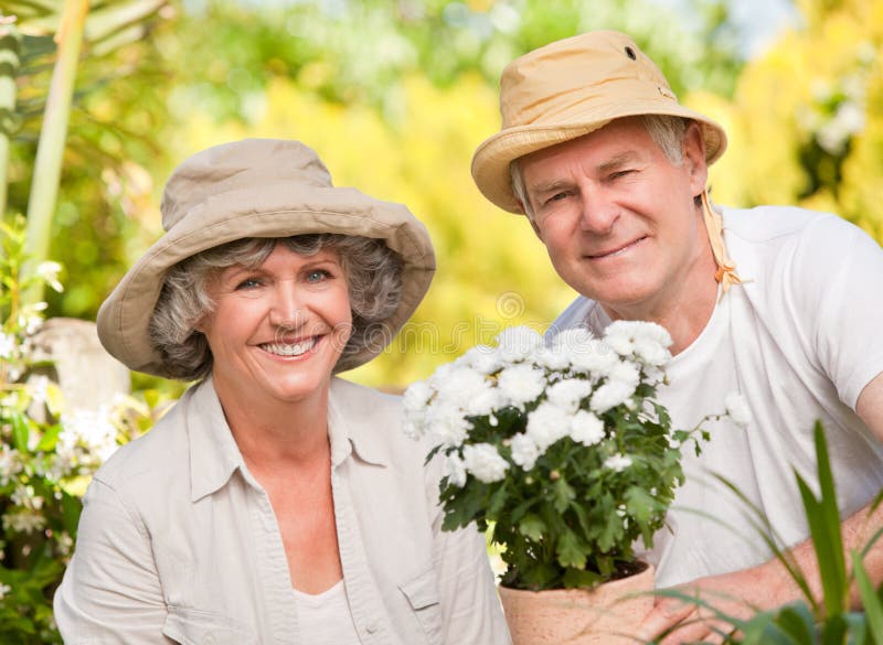 Senior Couple Gardening Together Stock Photo - Image of three, mature ...