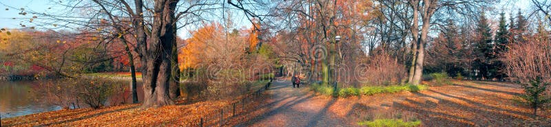 Senior couple in the park