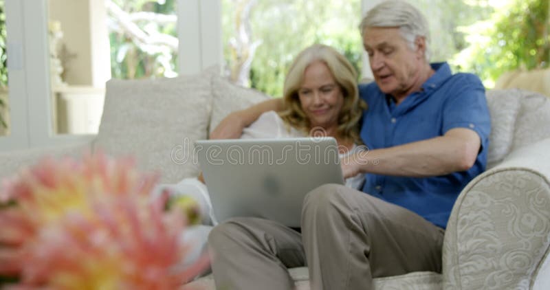 Senior couple using laptop