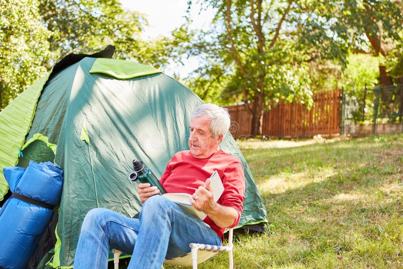 Dog in campingchair stock photo. Image of pets, chair 2342960