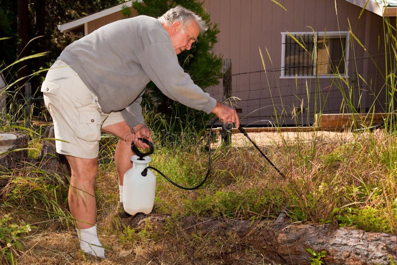 Senior Gardening