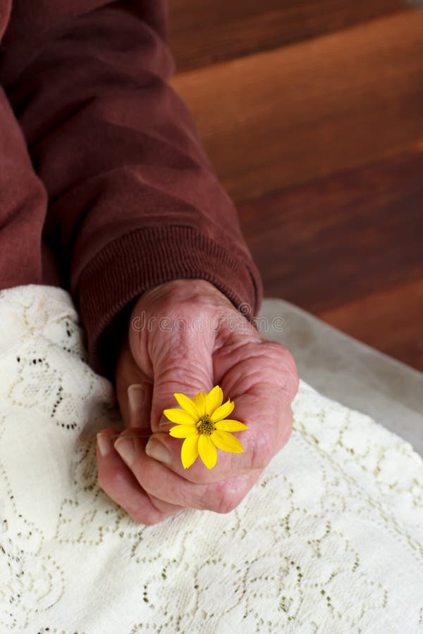 Senior lady holding a yellow flower
