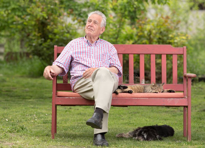 Old man sitting on bench with his pets and looking in sky stock photo.