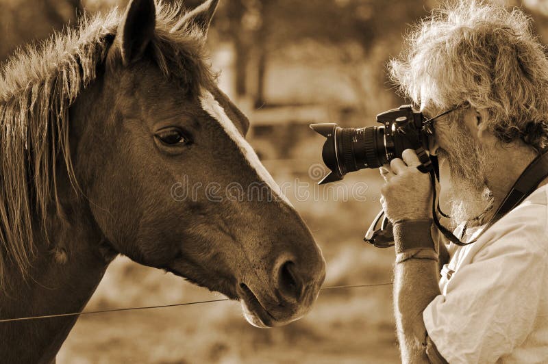 Senior man photographing closeup horses face