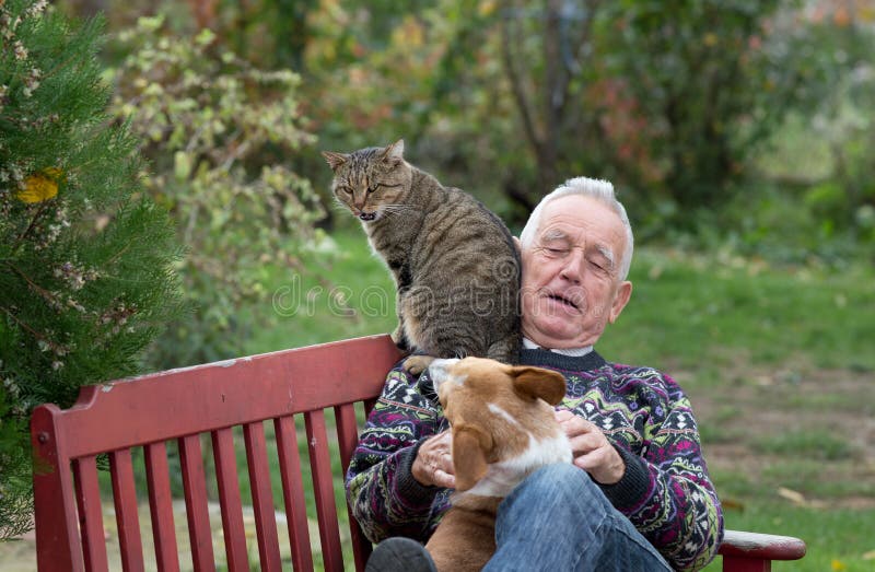 Senior man playing with pets. Senior man playing with his pets on the bench in park, dog sitting in his lap and cat on shoulder royalty free stock photos