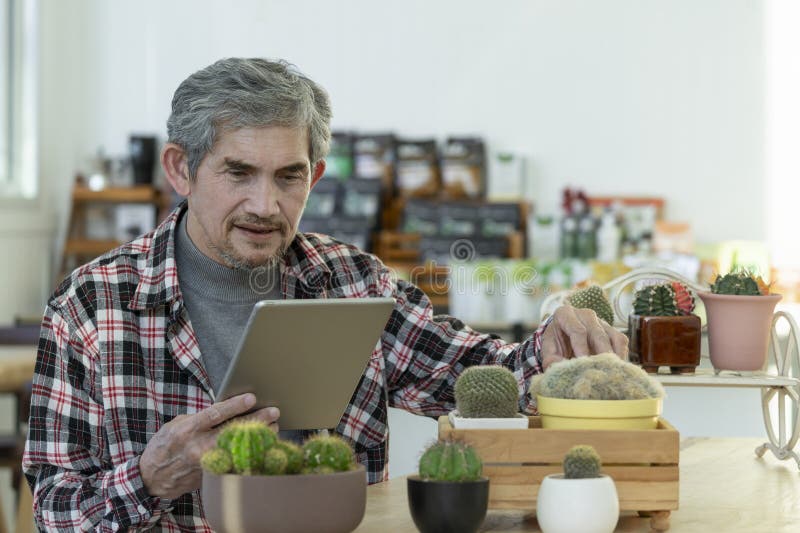 Senior man spend his spare time learning how to plant and care of cactus from tablet internet online at home stock photo