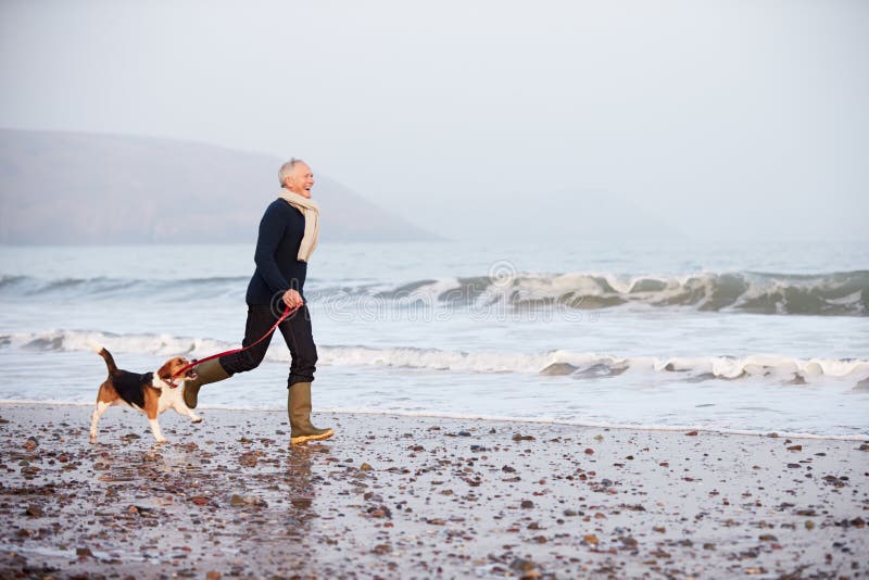 Senior Man Walking Along Winter Beach With Pet Dog royalty free stock photography Senior Man Walking Along Winter Beach With Pet Dog royalty free stock photography